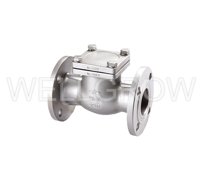 Check Valves