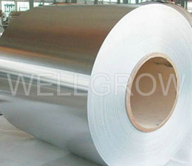 Stainless Steel Coils