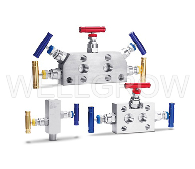 Valve Manifolds